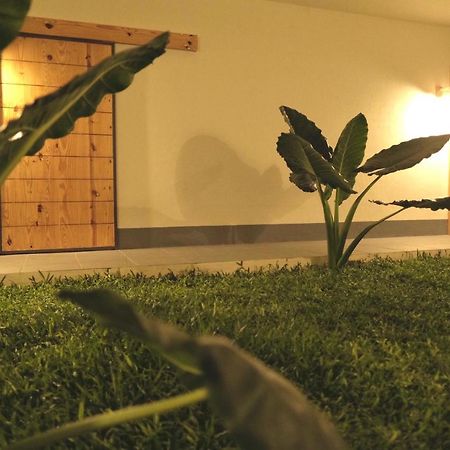 מלון מייזור Tropicopia מראה חיצוני תמונה
