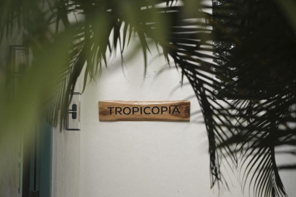מלון מייזור Tropicopia מראה חיצוני תמונה